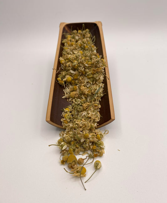 "Nepali Chamomile" Organic Botanical 